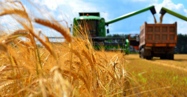 Tajikistan seeks replacement of Kazakh grain with Russian gran imported on concessional terms