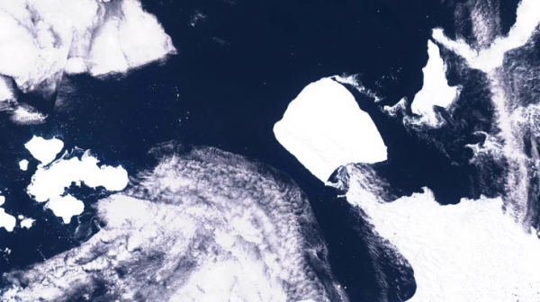 Антарктида яқинида дунёдаги энг катта айсберг ҳаракатлана бошлади
